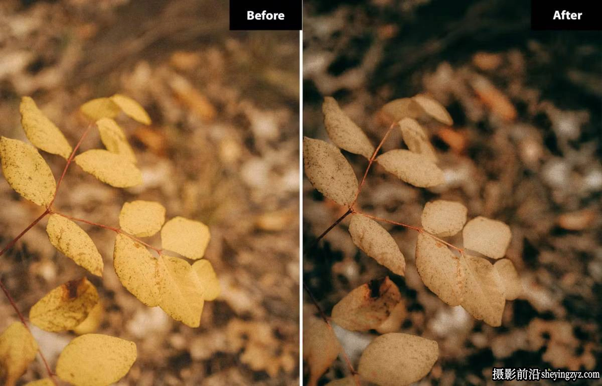 6种秋季电影风光摄影后期Lightroom预设及photoshop预设