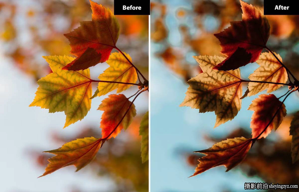 6种秋季电影风光摄影后期Lightroom预设及photoshop预设