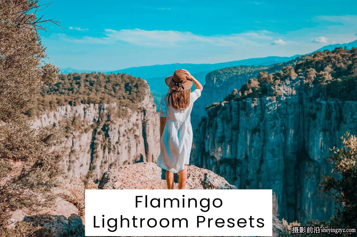 10种旅拍电影风光人像后期调色Lightroom预设/PS预设