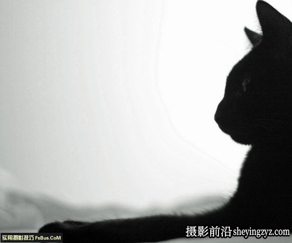 黑白摄影让作品更有艺术感的摄影技巧