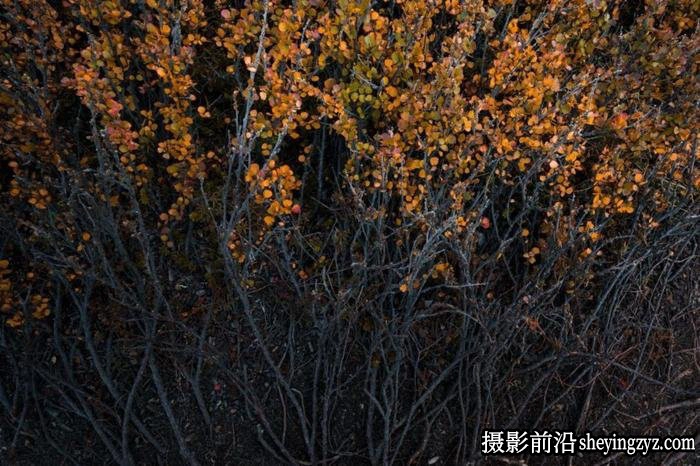摄影技巧-拍出抽象风光大片8个小技巧教程