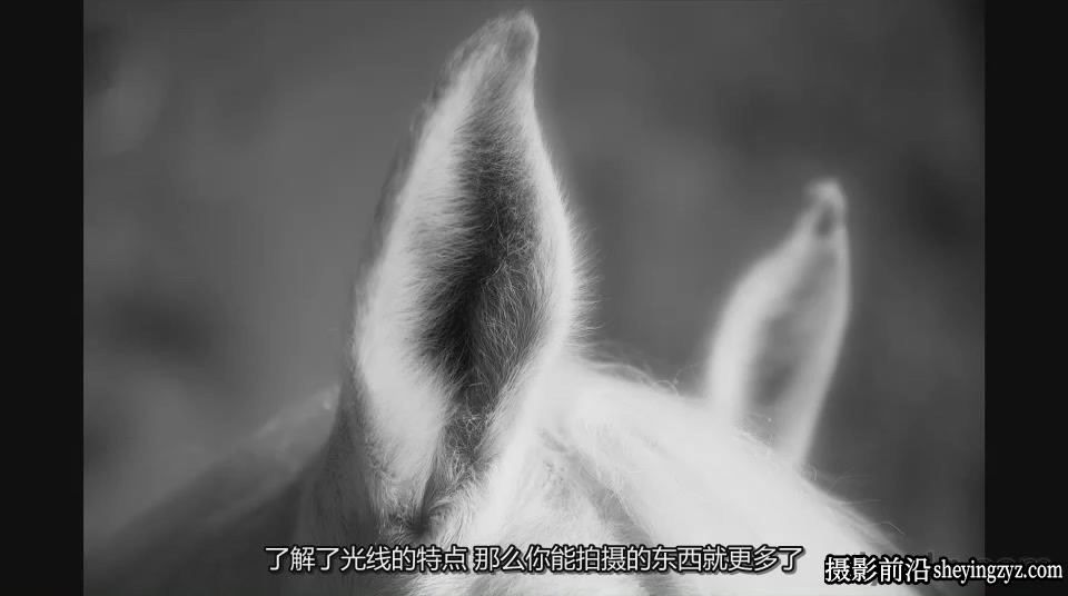 摄影师 Ben Long 黑白摄影及后期制作教程-中文字幕