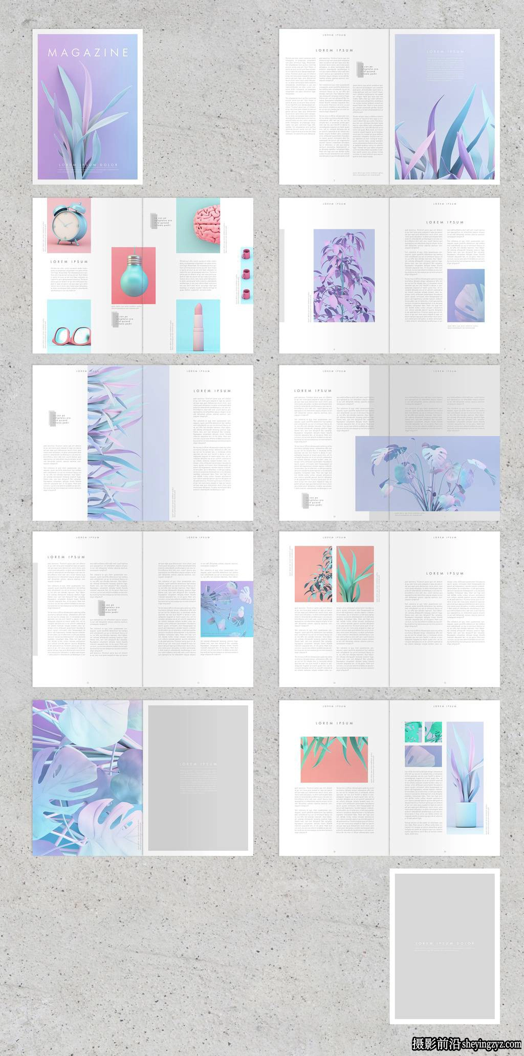 带有植物元素设计的杂志排版布局InDesign模板