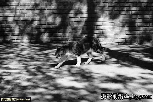 街拍摄影：黑与白的层次