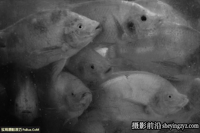 街拍摄影：黑与白的层次