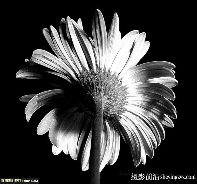 如何拍摄优秀的黑白摄影作品