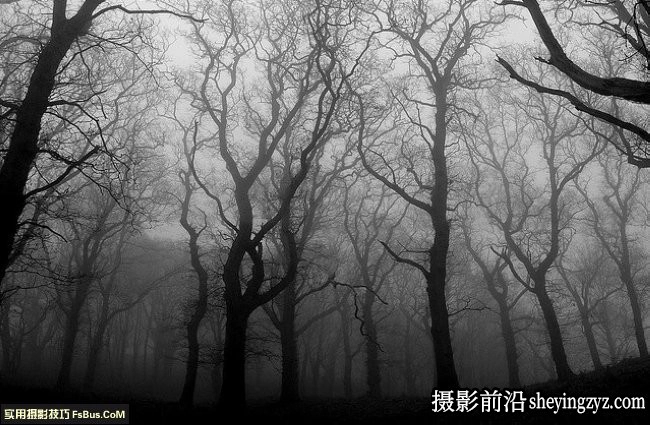 如何拍摄优秀的黑白摄影作品