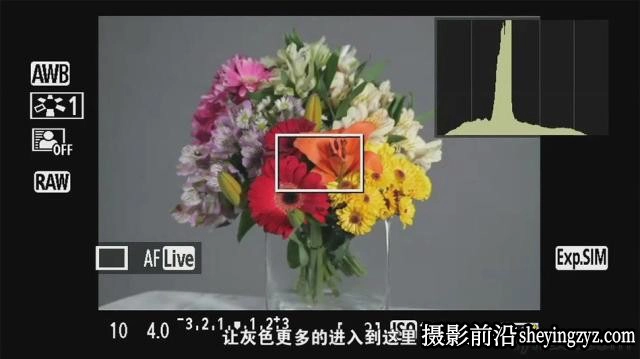 Ben Long 《数码单反进阶学习》摄影和曝光摄像教程-中文字幕