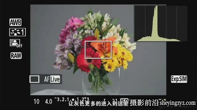 Ben Long 《数码单反进阶学习》摄影和曝光摄像教程-中文字幕