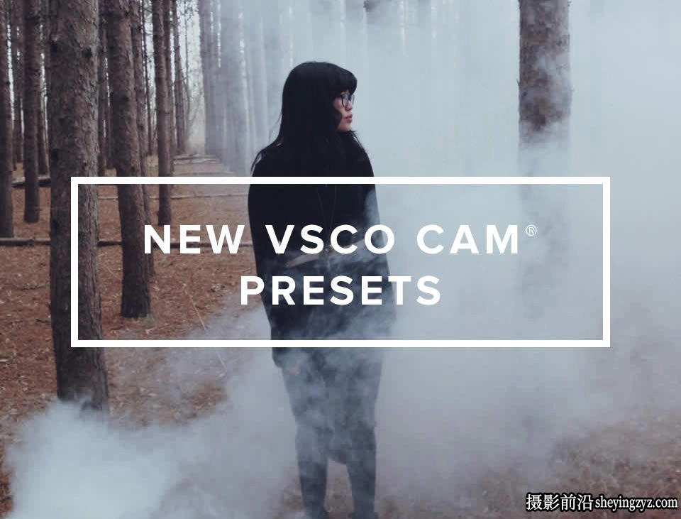 VSCO滤镜-100个日系胶片质感小清新LUTs预设 VSCO CAM Presets in LUTs