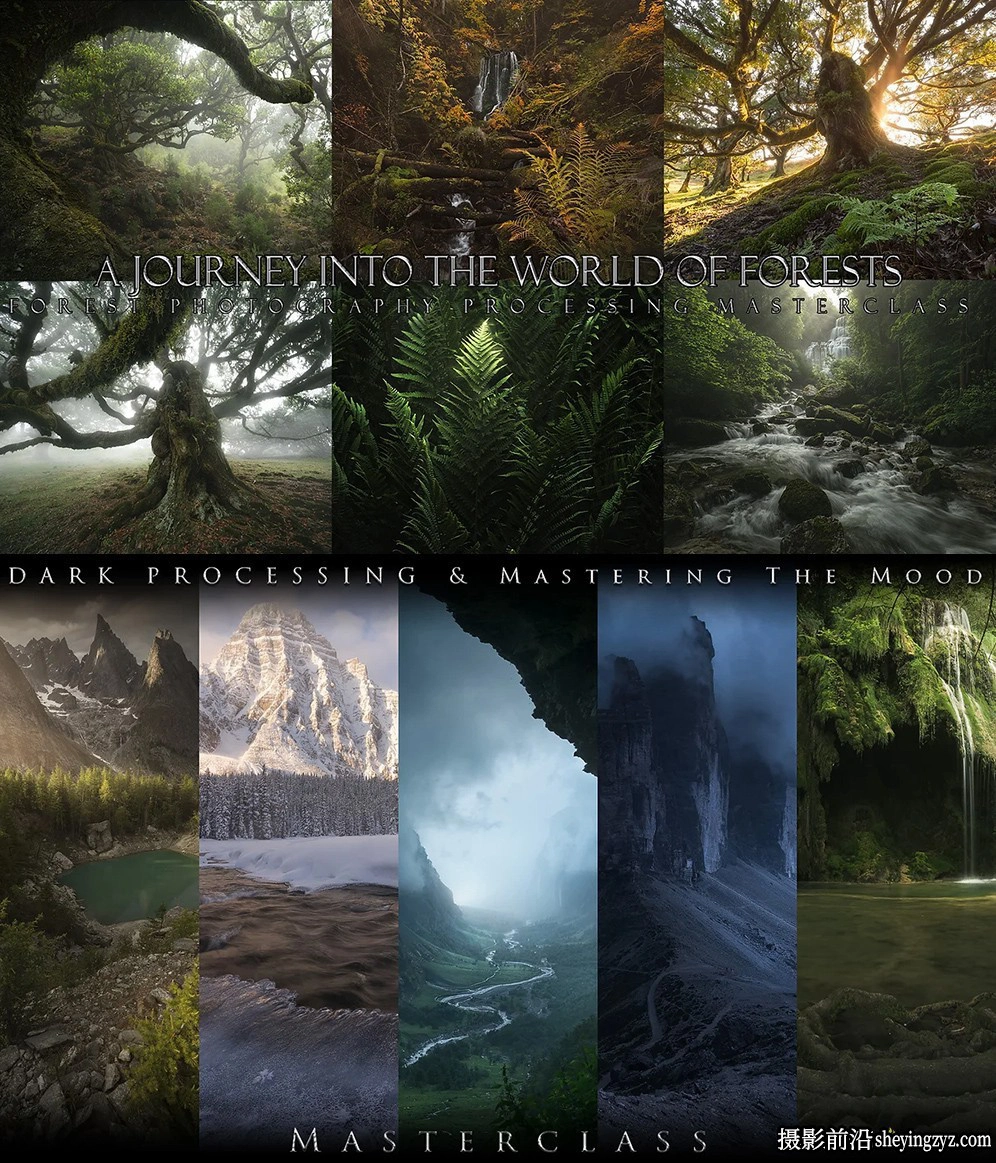 摄影师 Enrico Fossati 《世界森林之旅》完整版风光后期教程-中英字幕
