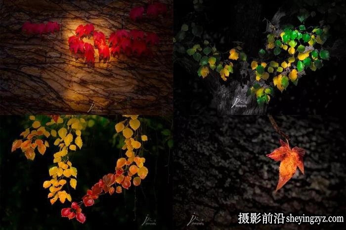 培养摄影的观察力发现不寻常的视角