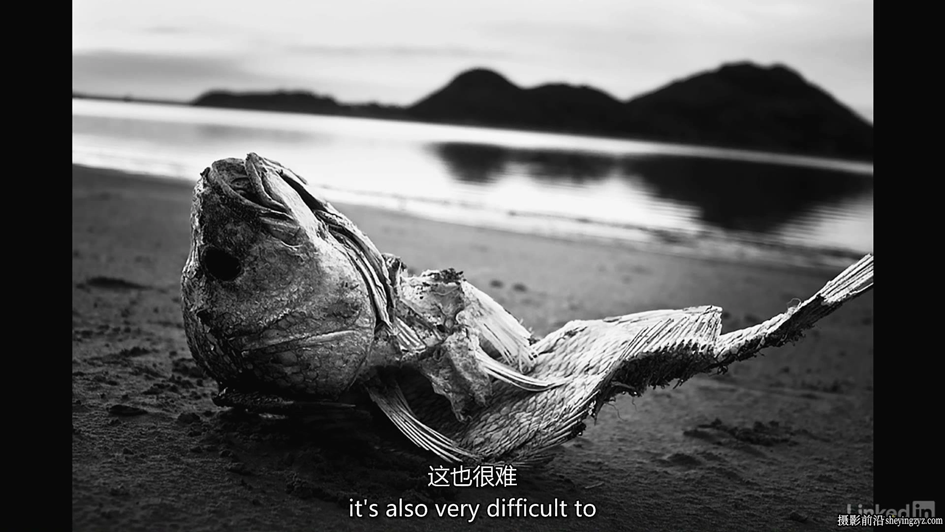 摄影师Ben Long基础构图教程+高级构图教程两套完整版-中英字幕