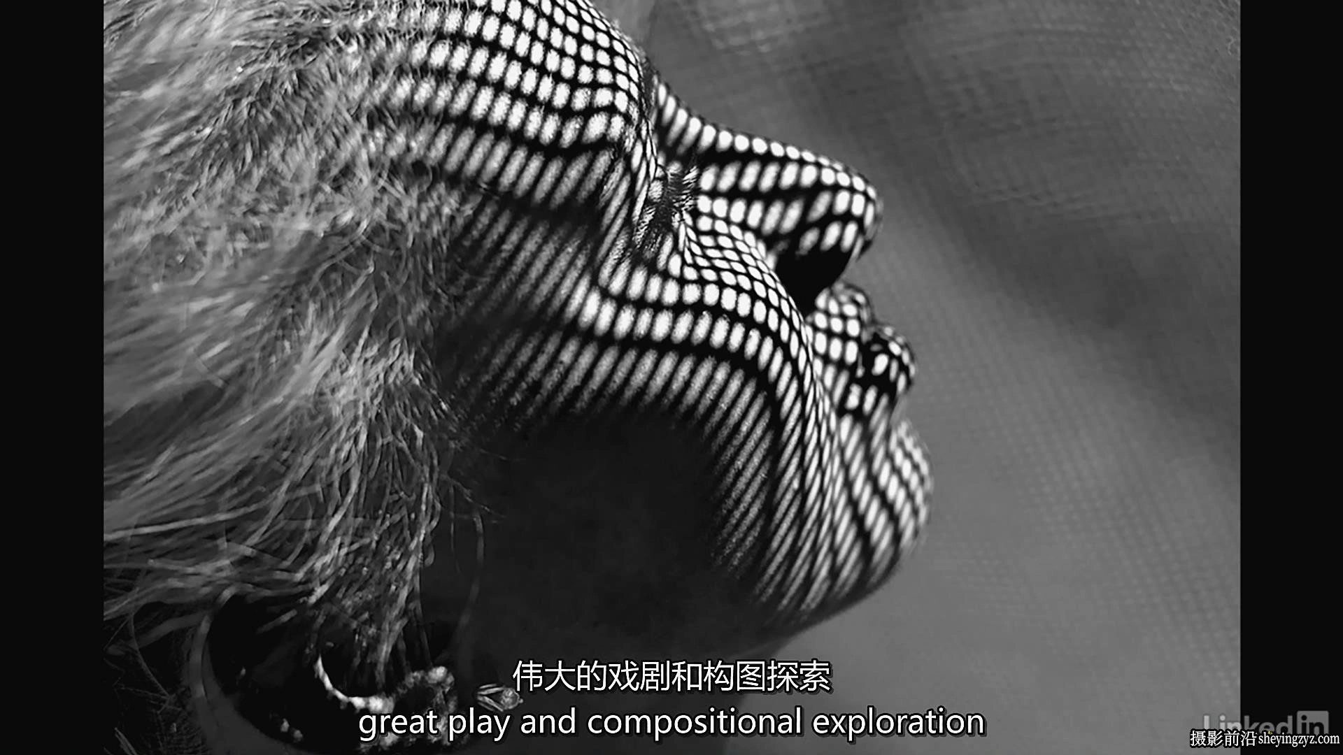摄影师Ben Long基础构图教程+高级构图教程两套完整版-中英字幕