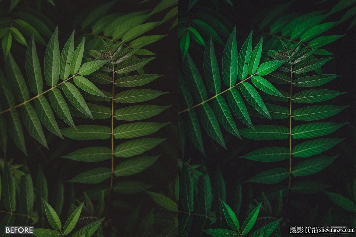 大自然森系绿色调旅拍风光后期调色Lightroom预设手机LR预设