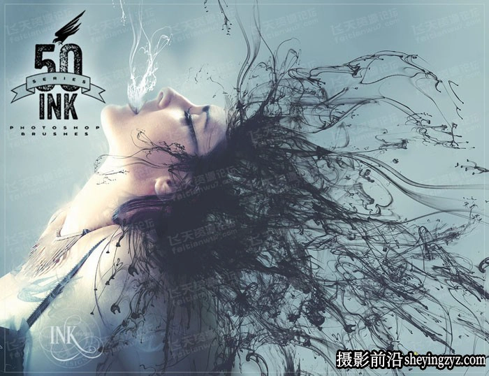 高清水墨烟雾缠绕PS笔刷 Ron's Ink