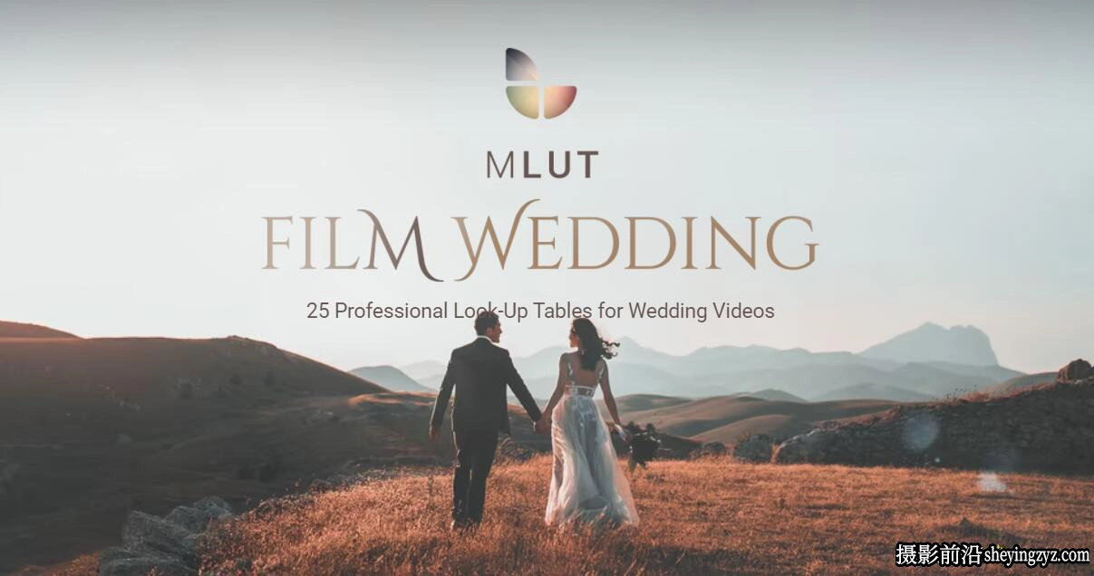 经典电影婚礼LUT预设 mLUT Film Wedding – 25 Professional LUT Pack
