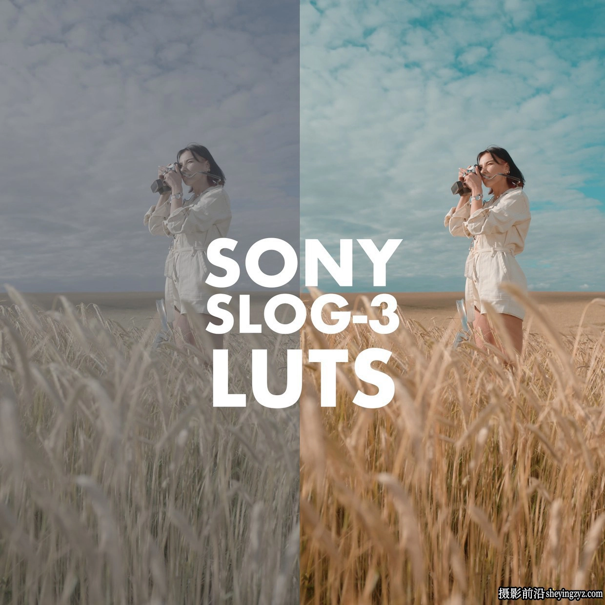 索尼SLOG3电影调色LUT预设Alexandru Don-SONY SLOG 3-SKINTONE EDITION