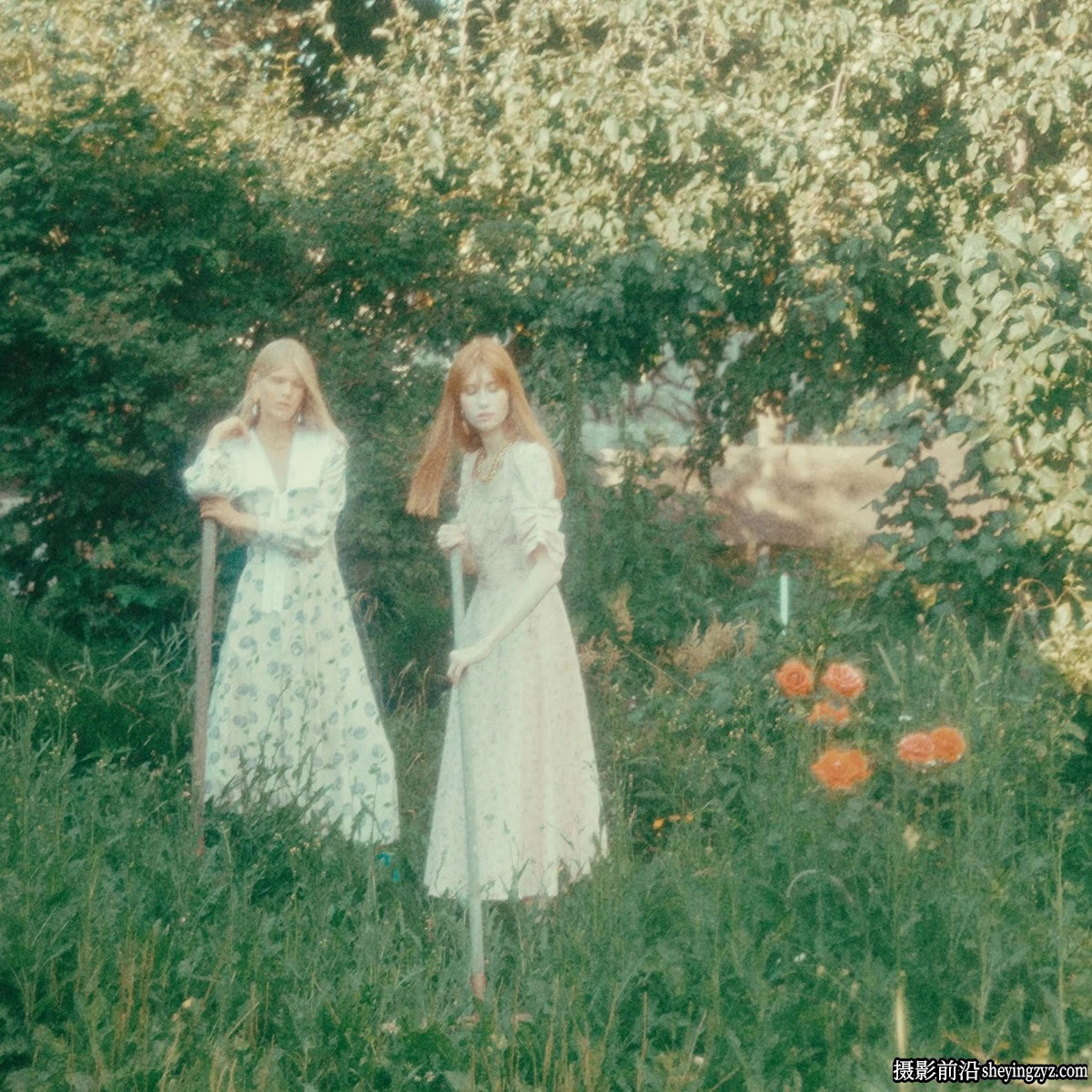 AnalogicaLab-富士胶片3513 FUJIFILM3513 LOG/Rec709调色16mmLUT预设