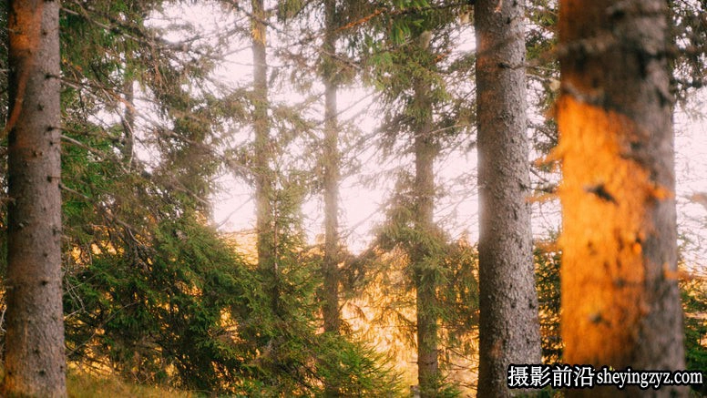 纠正偏色色彩校正电影调色LUT预设Cinecolor-Primaries LUT Pack