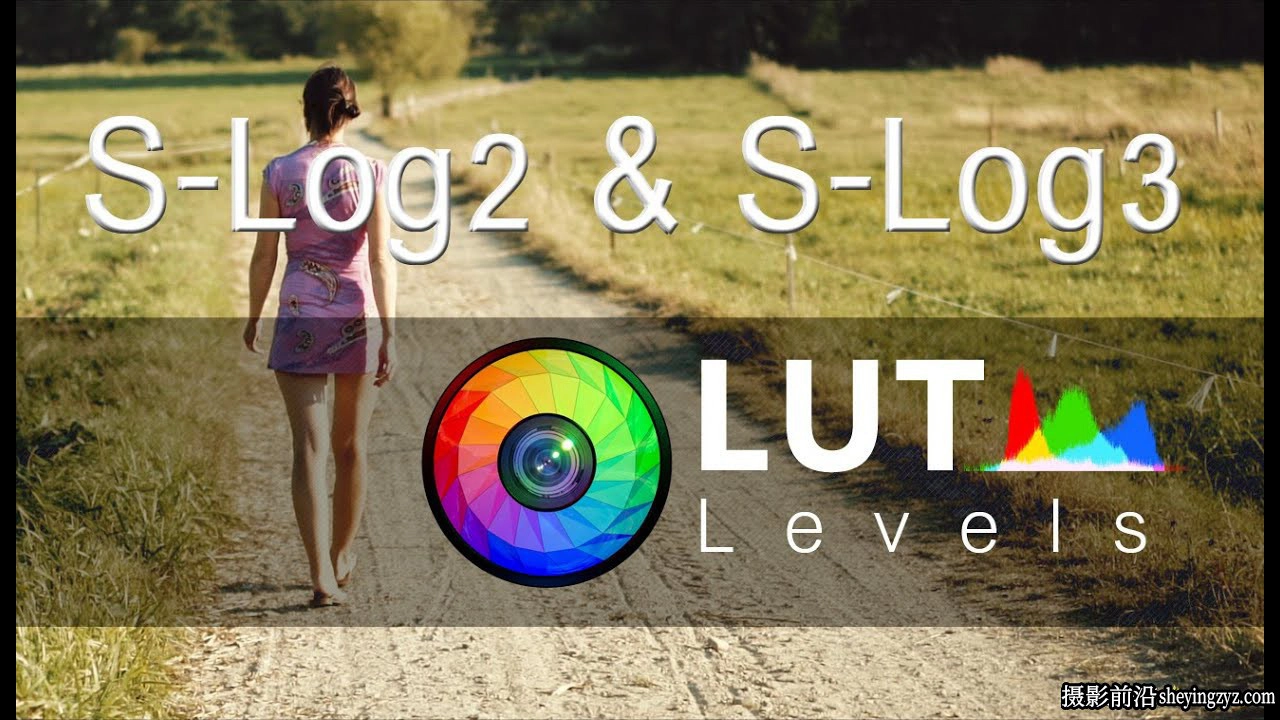 140个S-Log2+S-Log3 色彩校正LUT预设 Levels LUT Video LUTs预设