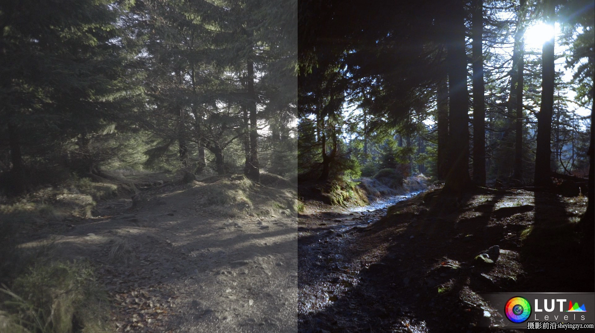 140个S-Log2+S-Log3 色彩校正LUT预设 Levels LUT Video LUTs预设