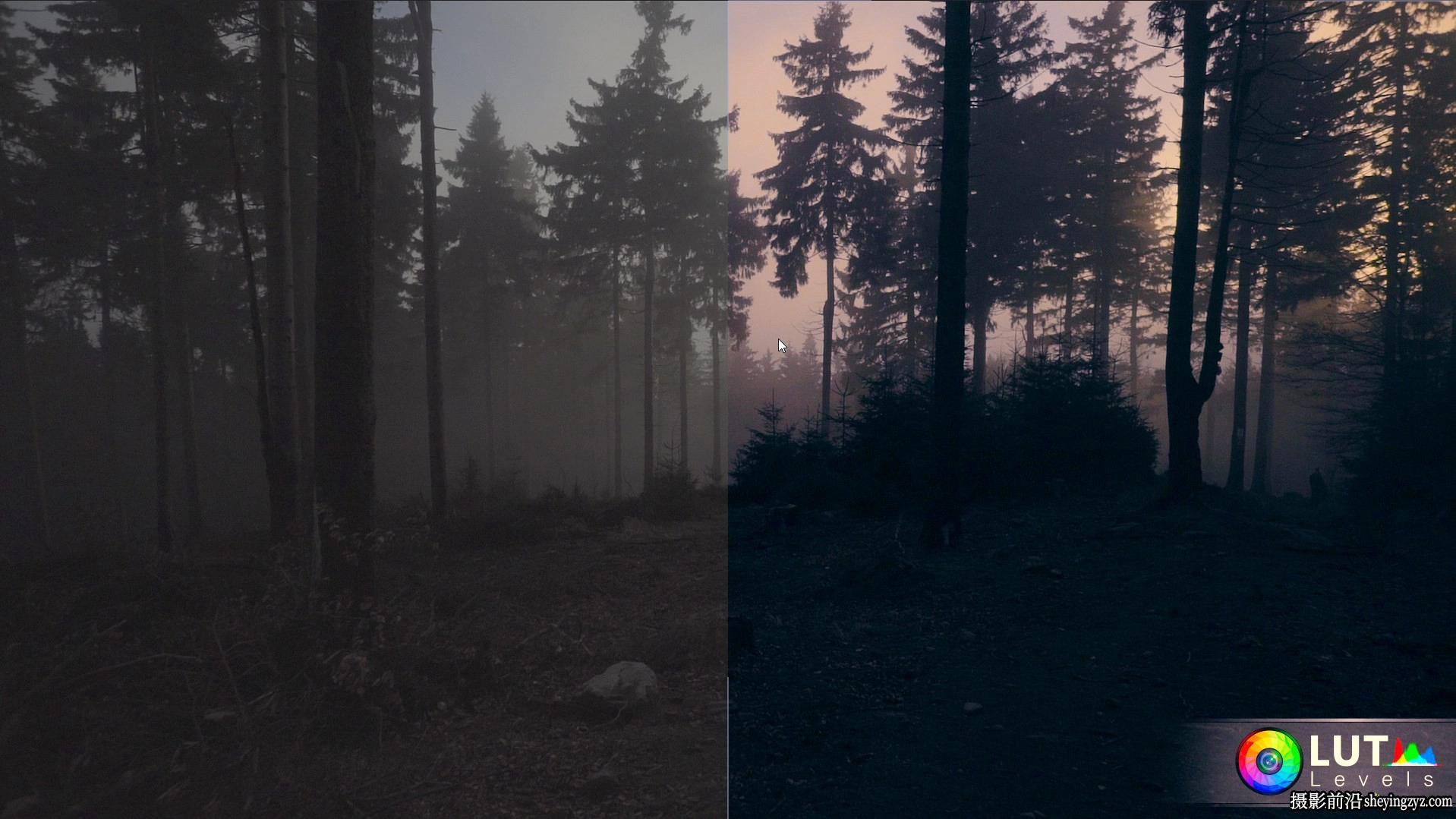 140个S-Log2+S-Log3 色彩校正LUT预设 Levels LUT Video LUTs预设