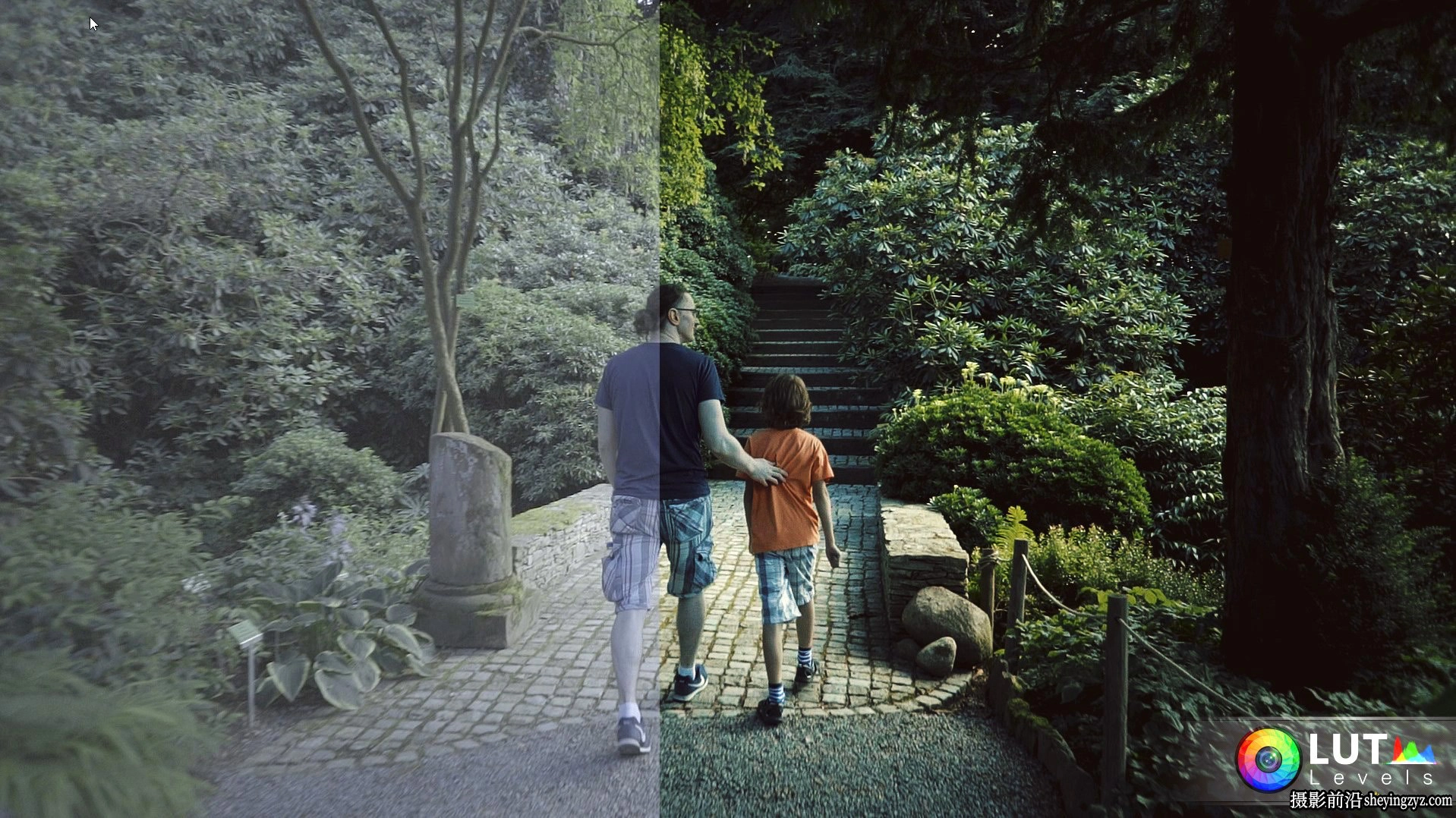 140个S-Log2+S-Log3 色彩校正LUT预设 Levels LUT Video LUTs预设