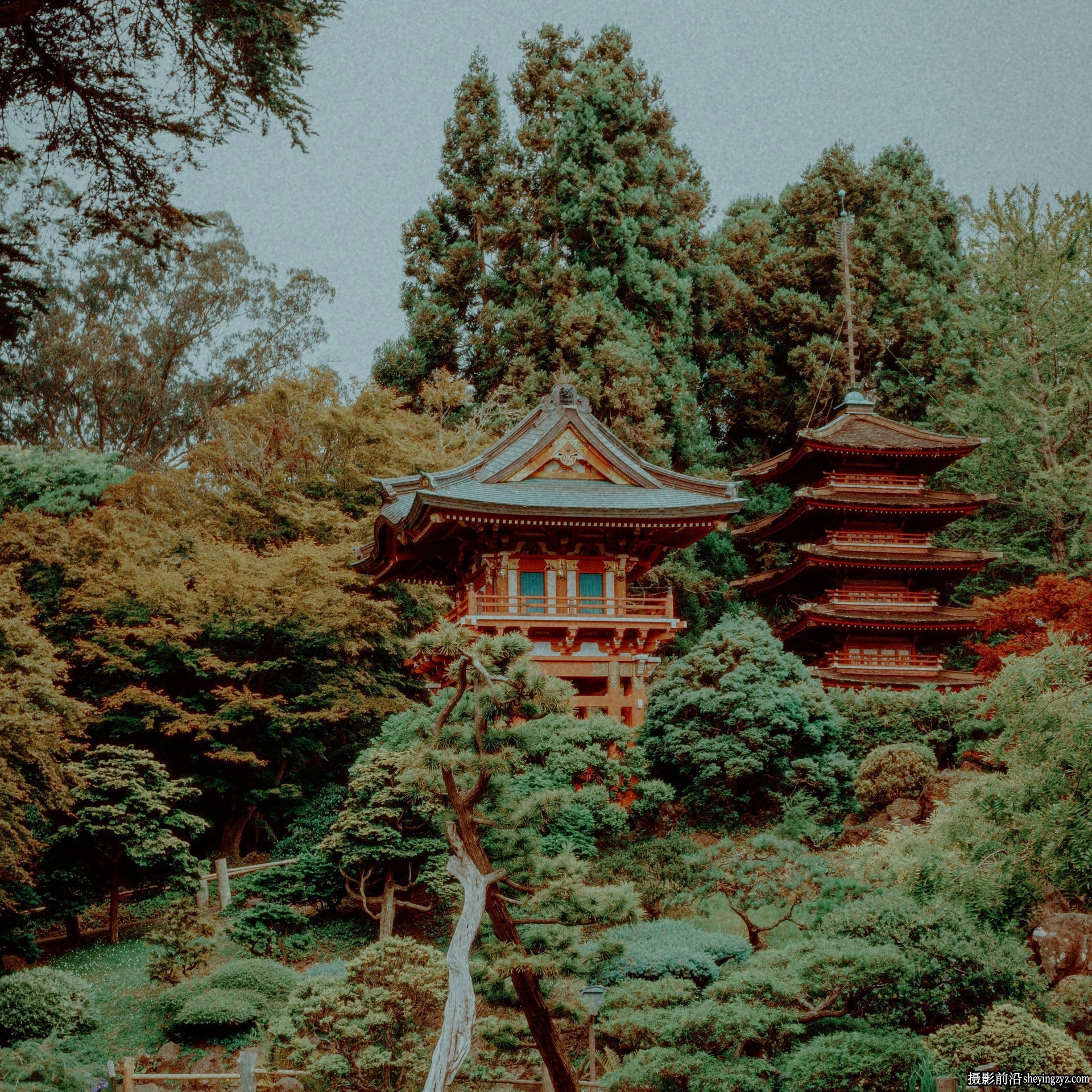 AnalogicaLab 16毫米富士胶片LUT预设 AnalogicaLab- 16mm Fuji LUT