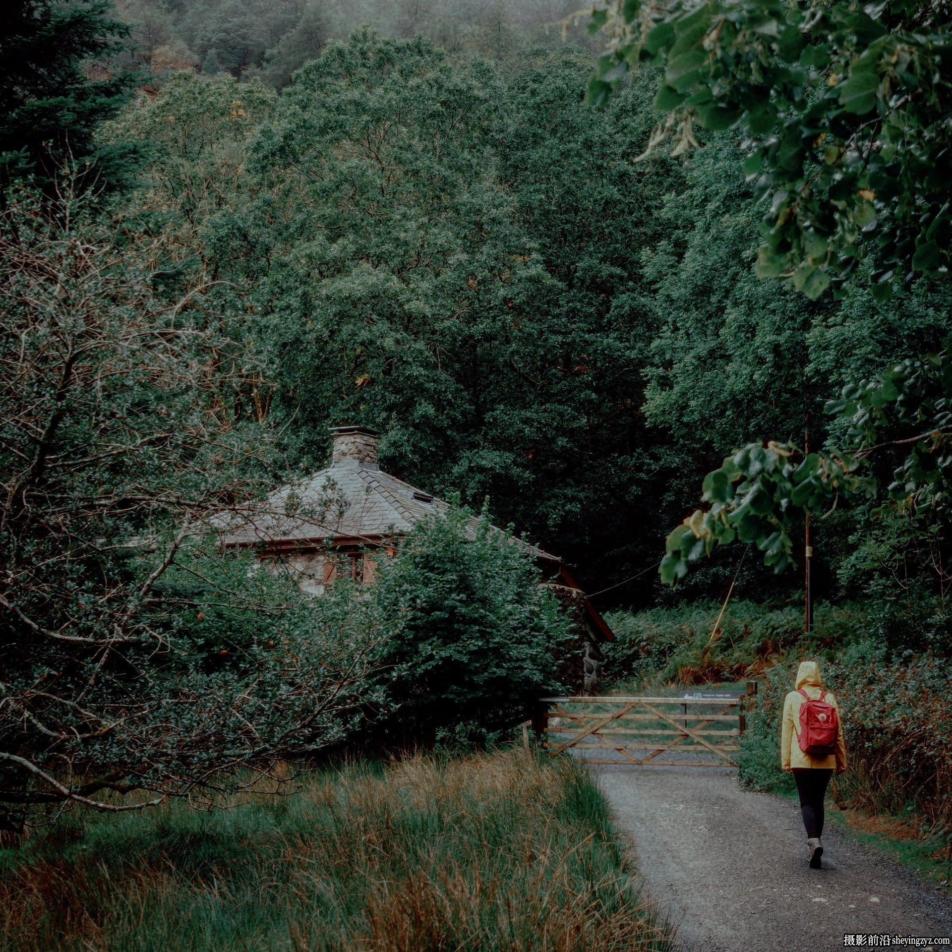 AnalogicaLab 16毫米富士胶片LUT预设 AnalogicaLab- 16mm Fuji LUT