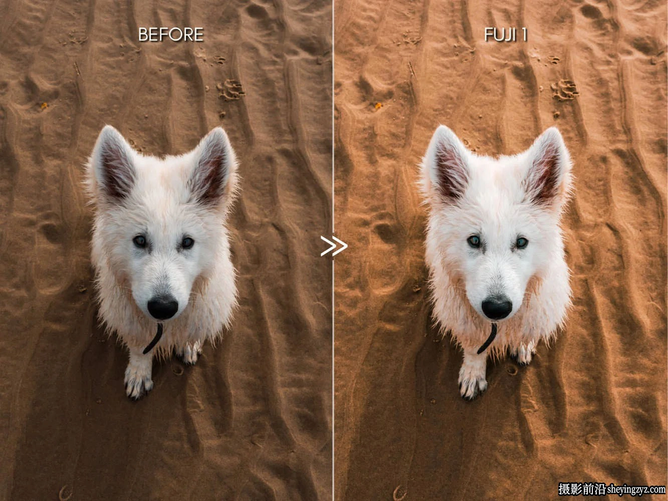 明亮色彩富士胶片色调Lightroom预设 Bright Vibrant Fujifilm Lightroom Presets