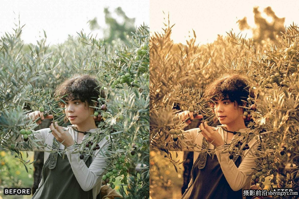 老式复古电影胶片后期调色LR预设 Farm Rustic Lightroom Presets