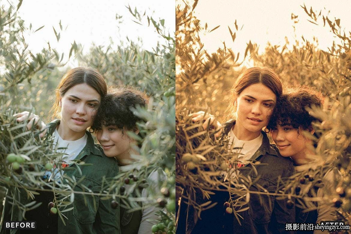 老式复古电影胶片后期调色LR预设 Farm Rustic Lightroom Presets