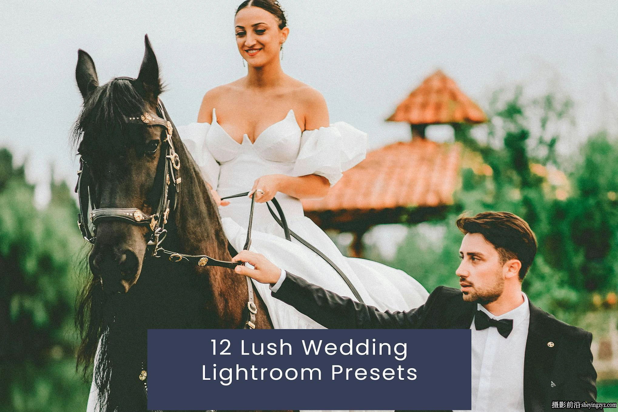 12种清新胶片婚礼人像Lightroom预设 Lush Wedding Lightroom Presets