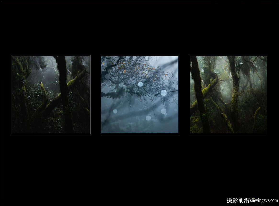风光摄影师 Alister Benn 了解风景摄影中色彩的意义电子书