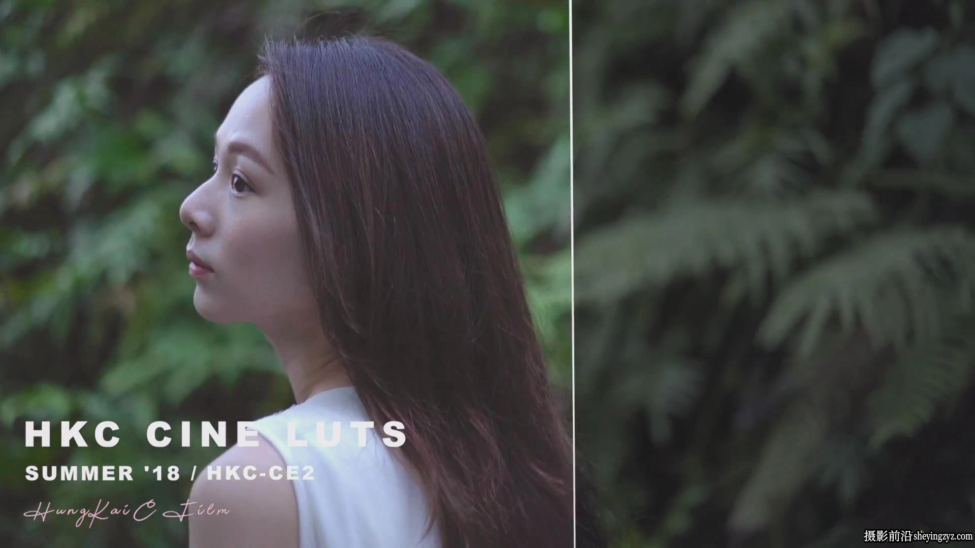 HungKai Chen-0种 CINE4+SONY A7III视频调色LUT预设