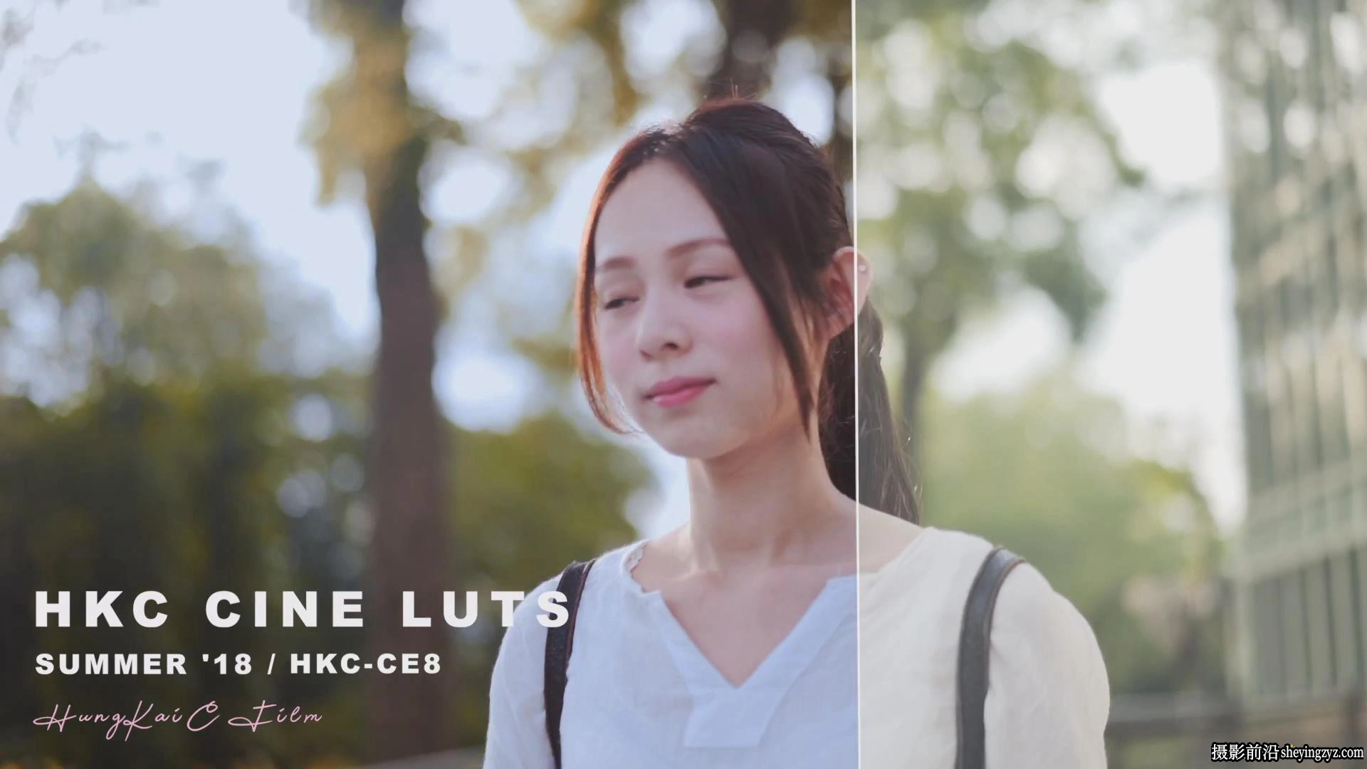 HungKai Chen-0种 CINE4+SONY A7III视频调色LUT预设
