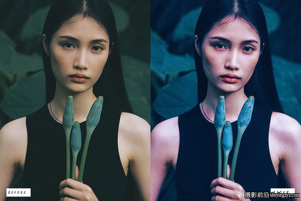 明亮紫色调胶片人像后期调色Lightroom预设 Brachyscome Nature Lightroom Presets