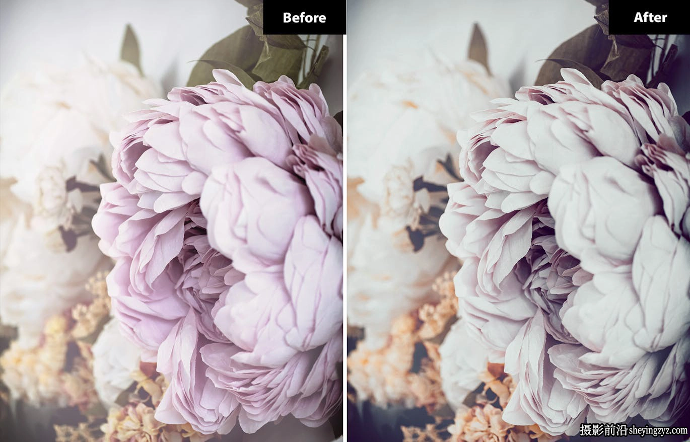 花卉静物复古胶片电影感Lightroom预设 Floral Glow Lightroom Presets