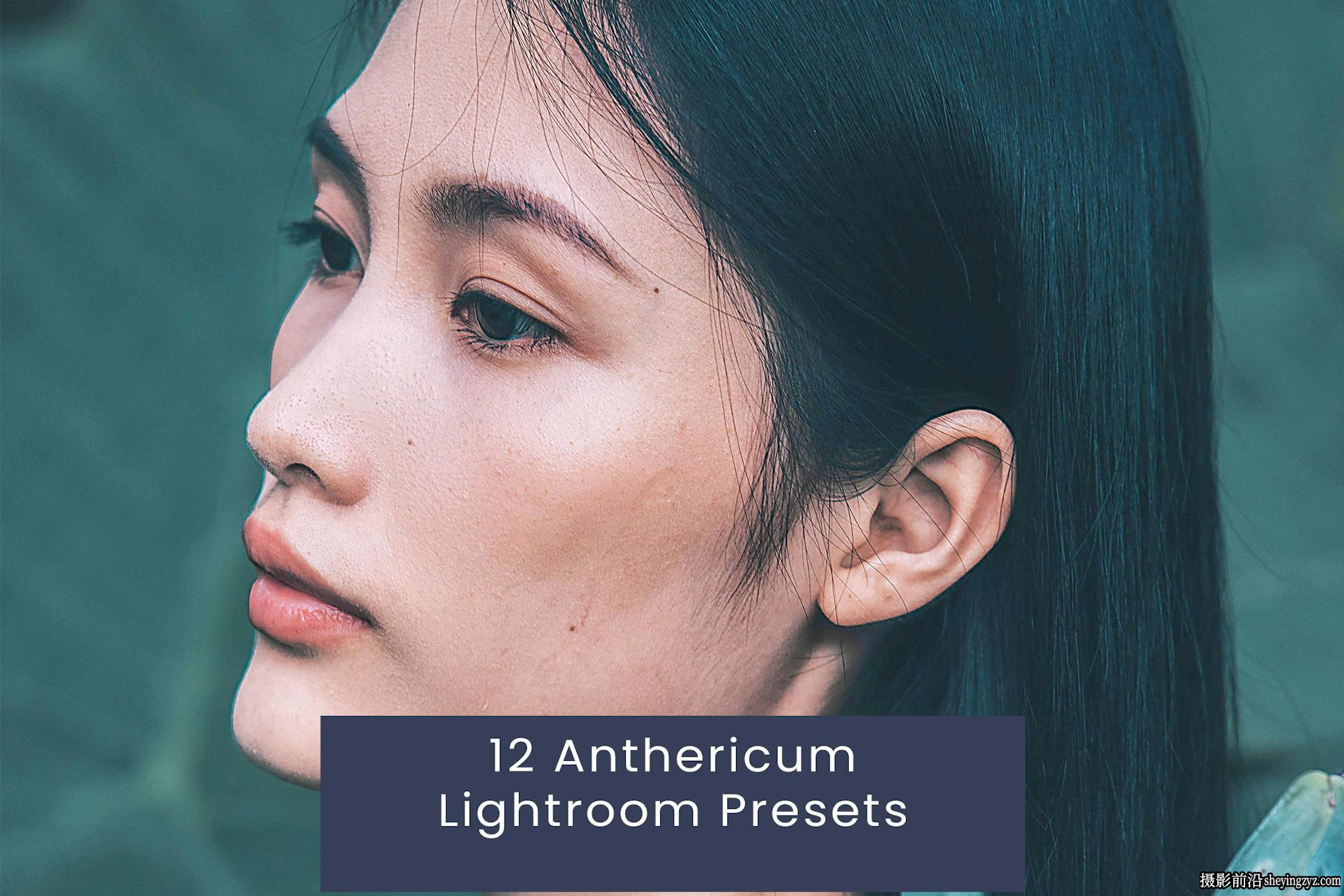 12种时尚胶片人像后期调色LR预设 Anthericum Lightroom Presets