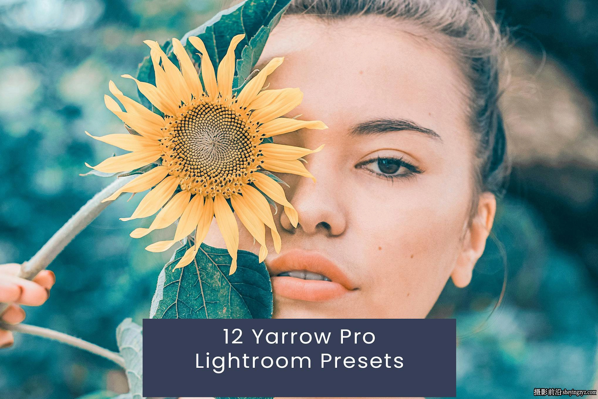 12种复古向日葵外拍胶片人像Lightroom预设 Yarrow Pro Lightroom Presets