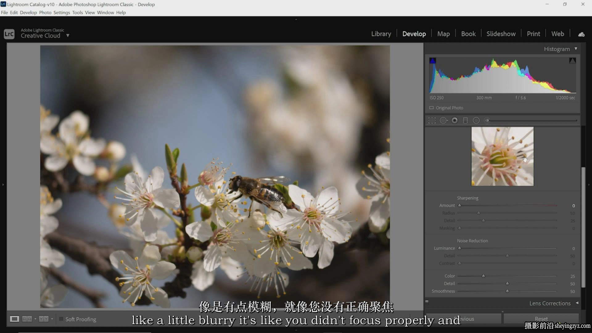 Lightroom Classic CC编辑大师班-完整照片编辑教程-中英字幕