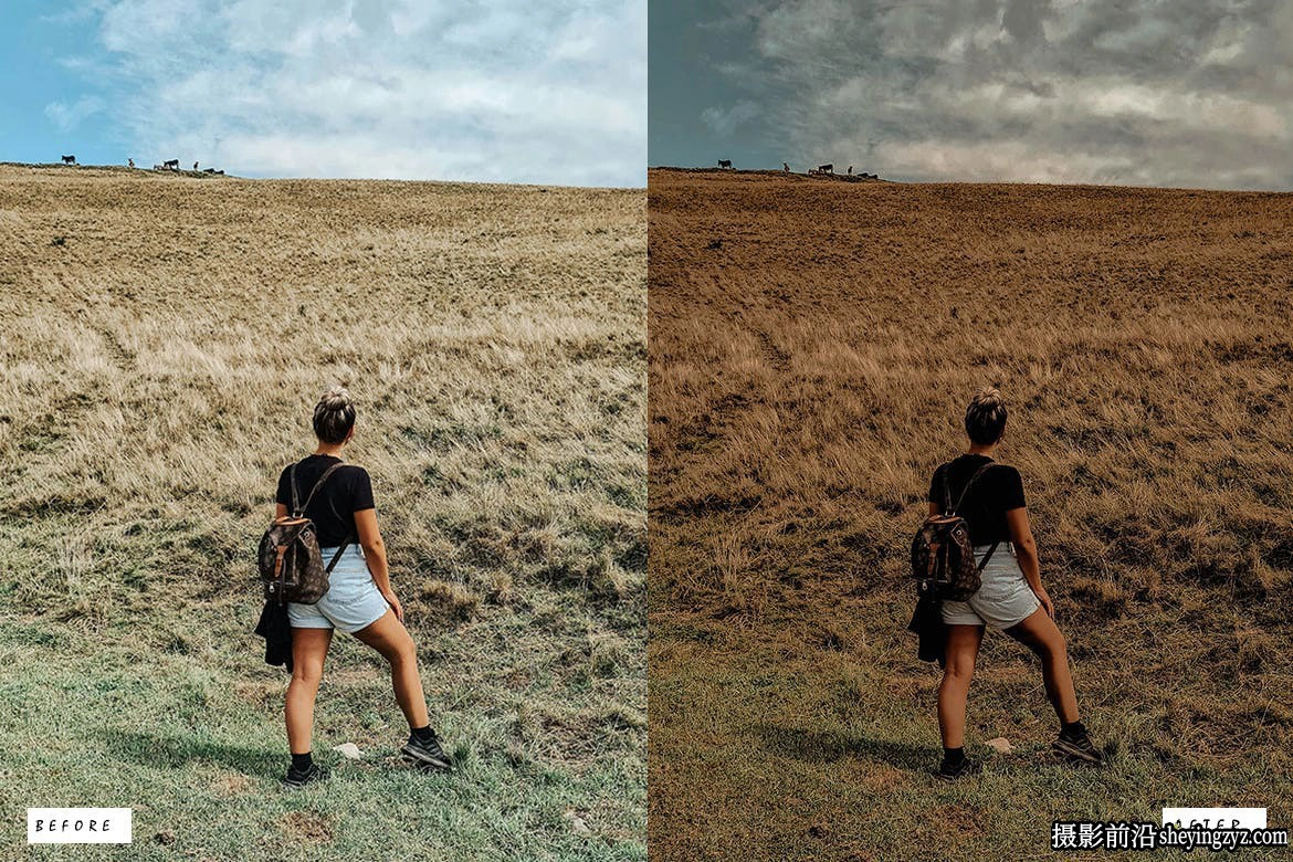 免费10种咖啡巧克力调色调LR预设Dark Chocolate Lightroom Presets
