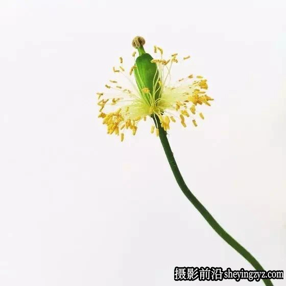 10个简单技巧就能拍出高逼格照片
