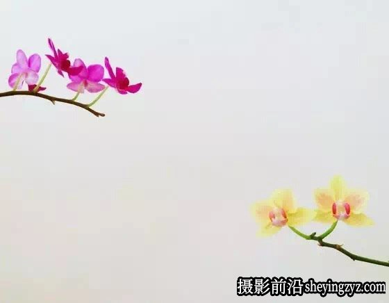 10个简单技巧就能拍出高逼格照片
