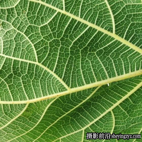 10个简单技巧就能拍出高逼格照片
