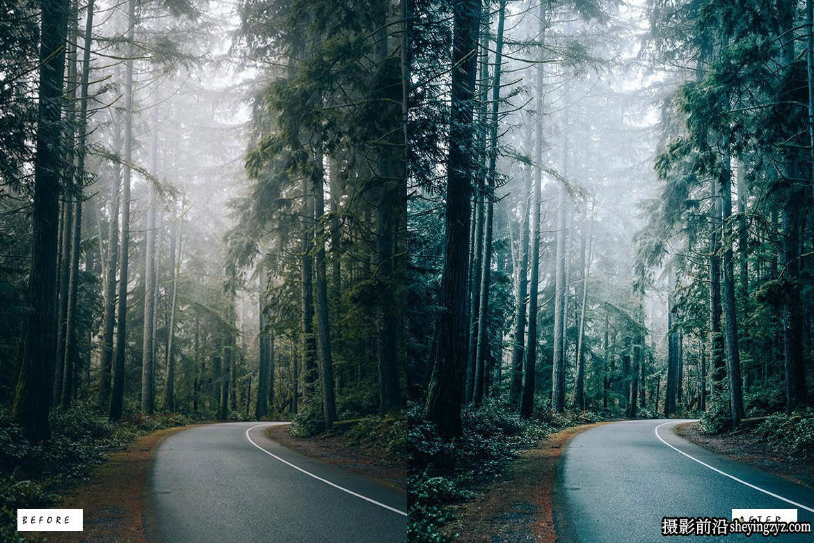 10种复古怀旧胶片感Lightroom预设 Earthy Vibes Lightroom Presets