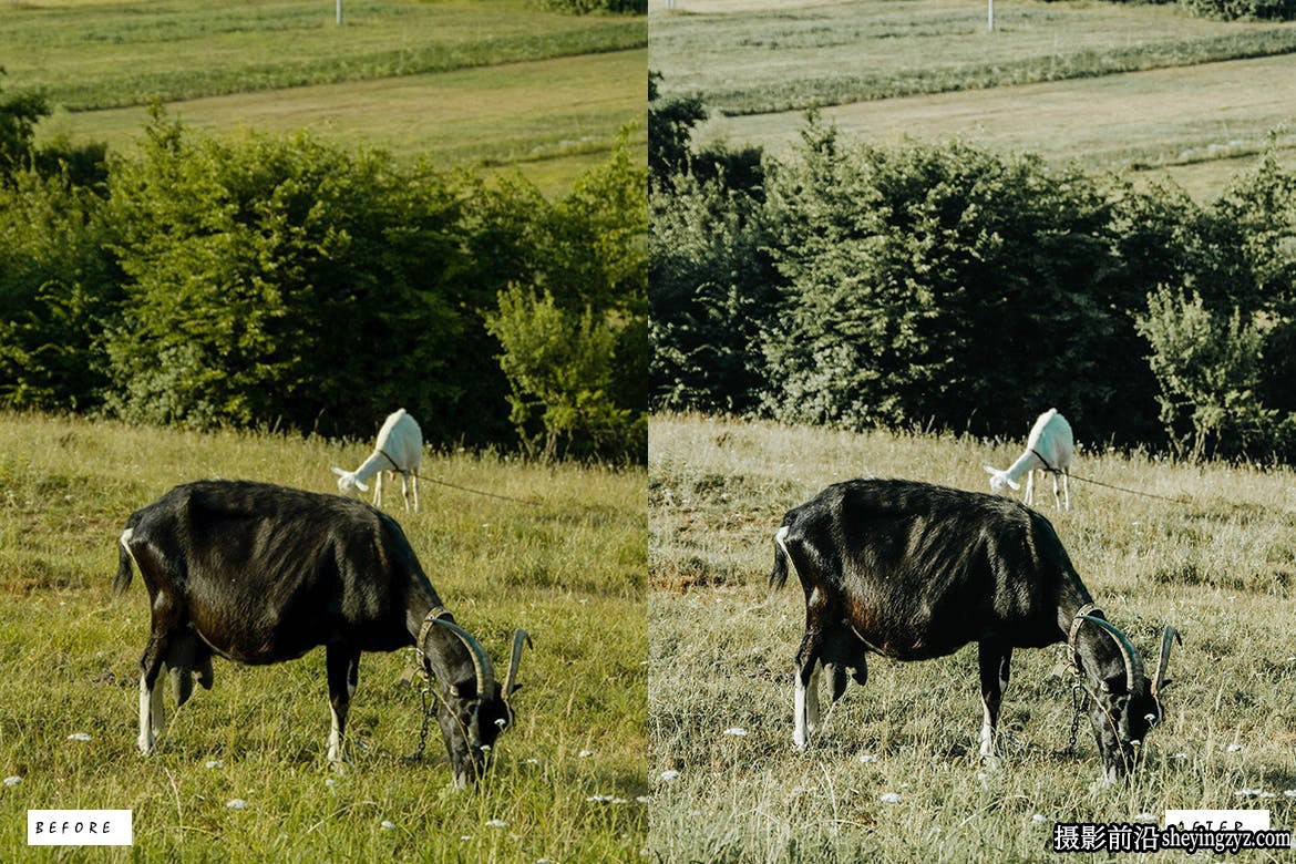 10种复古怀旧胶片感Lightroom预设 Earthy Vibes Lightroom Presets