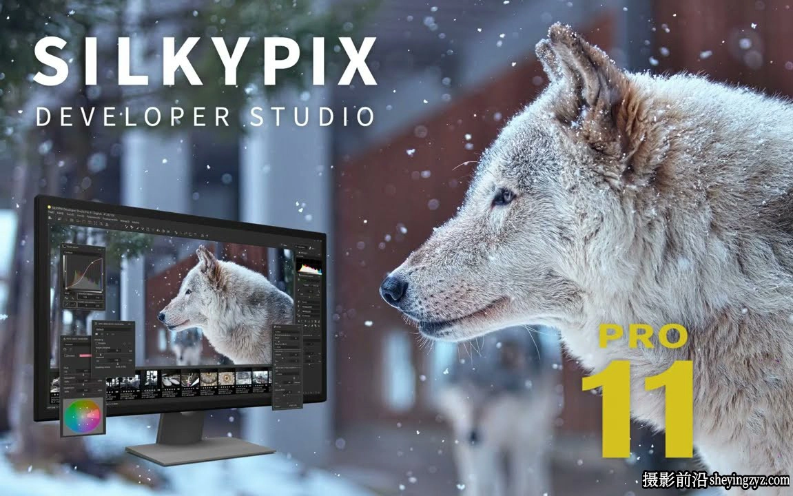 SILKYPIX Developer Studio Pro 11.0.13.0 x64汉化版|WinX64