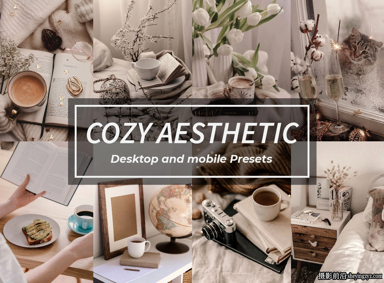 复古胶片后期调色LR预设及手机版预设 Cozy aesthetic lightroom presets